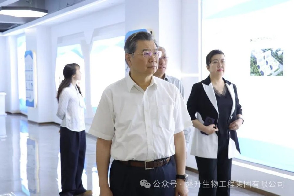 浙江省政協考察組蒞臨磐升集團調研,共話僑胞優勢,賦能開放強省建設?